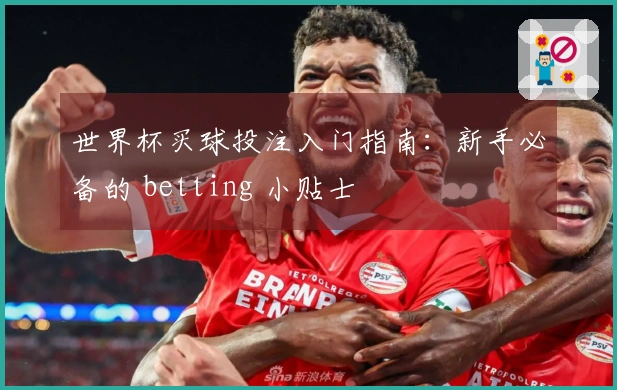 世界杯买球投注入门指南：新手必备的 betting 小贴士