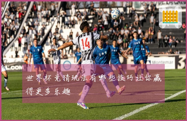 世界杯竞猜玩法有哪些技巧让你赢得更多乐趣