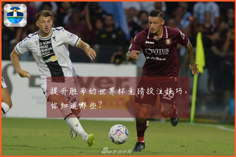 提升胜率的世界杯竞猜投注技巧，你知道哪些？