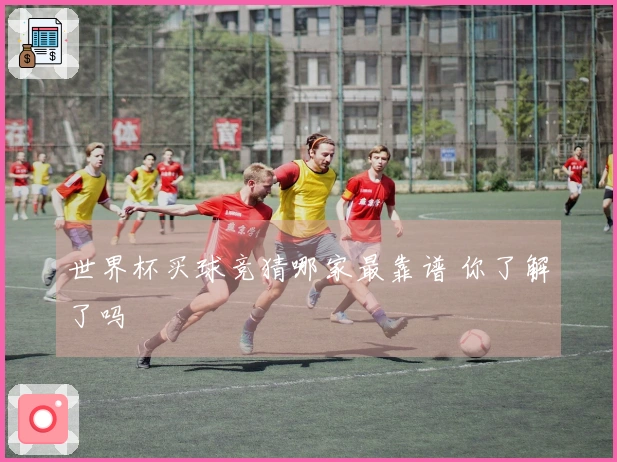 世界杯买球竞猜哪家最靠谱 你了解了吗