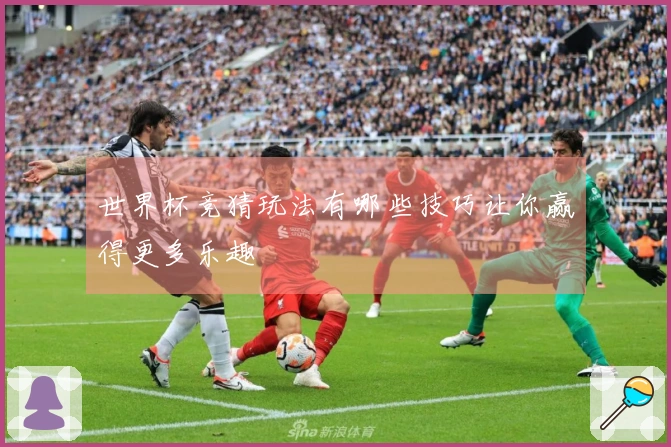 世界杯竞猜玩法有哪些技巧让你赢得更多乐趣